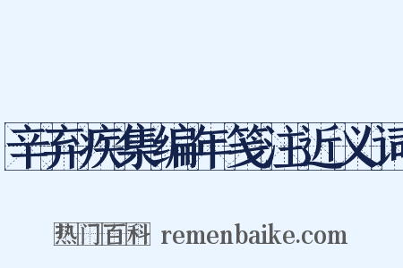 辛弃疾集编年笺注近义词是什么意思的图片